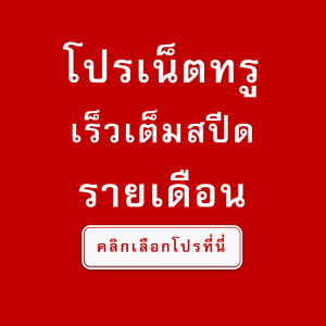 โปรเน็ตทรู รายเดือน ความเร็วเน็ตเต็มสปีด ต่ออายุอัตโนมัติ