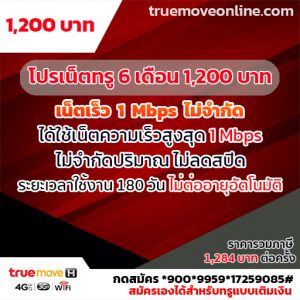 โปรเน็ตทรู 6 เดือน 1,200 บาท สุดคุ้ม ใช้งานยาวๆ