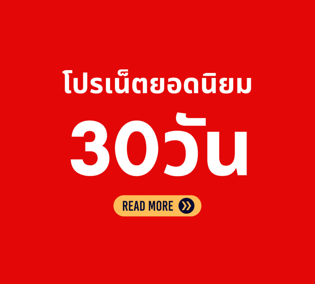 โปรเน็ตทรู 30 วัน ไม่จำกัด ไม่ลดสปีด