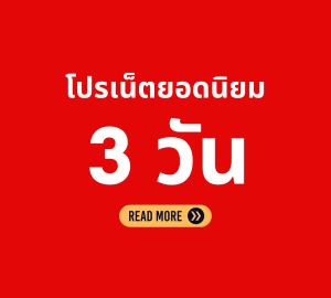 โปรเน็ตทรู 3 วัน รวมยอดนิยม