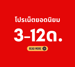 โปรเน็ตทรู 3 เดือน 6 เดือน เน็ตรายปี ยอดนิยม