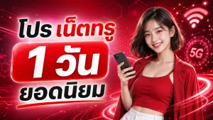 โปรเน็ตทรู 1 วัน ยอดนิยม