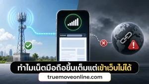 ทำไมเน็ตมือถือขึ้นเต็มแต่เข้าเว็บไม่ได้ สาเหตุที่คนมักพลาด