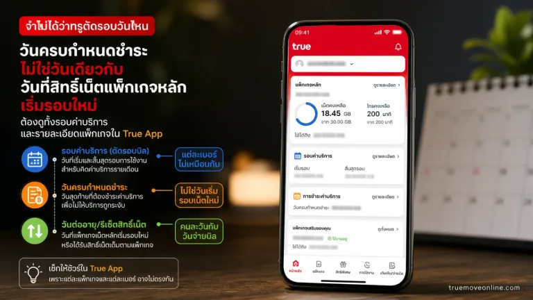 เช็กวันตัดรอบบิลทรู แสดง สมาร์ตโฟนที่สื่อถึงการตรวจข้อมูลผ่านแอป