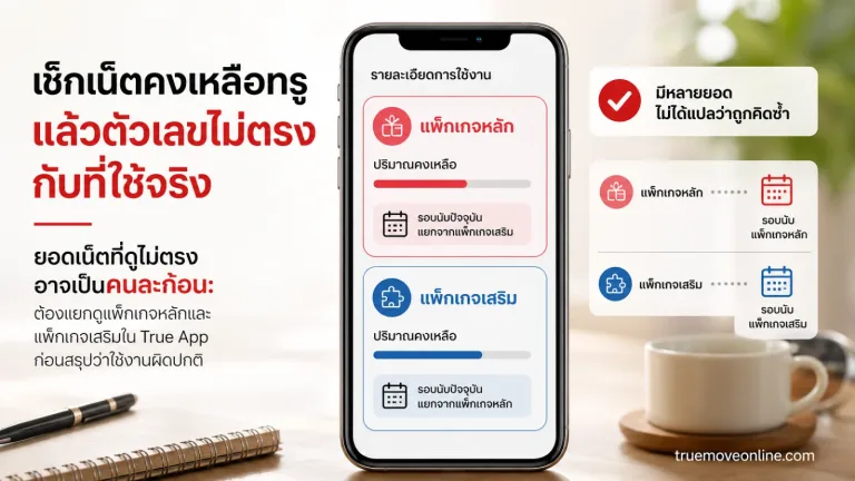 เช็กเน็ตคงเหลือทรู แสดง สมาร์ตโฟนหนึ่งเครื่องในบริบทการตรวจยอดการใช้งาน
